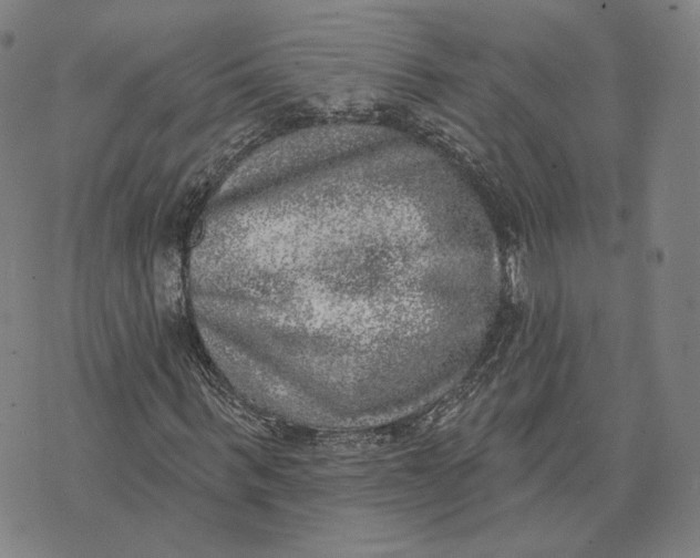 X0000074260963200609151757