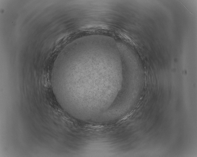 X0000074260965200609151757