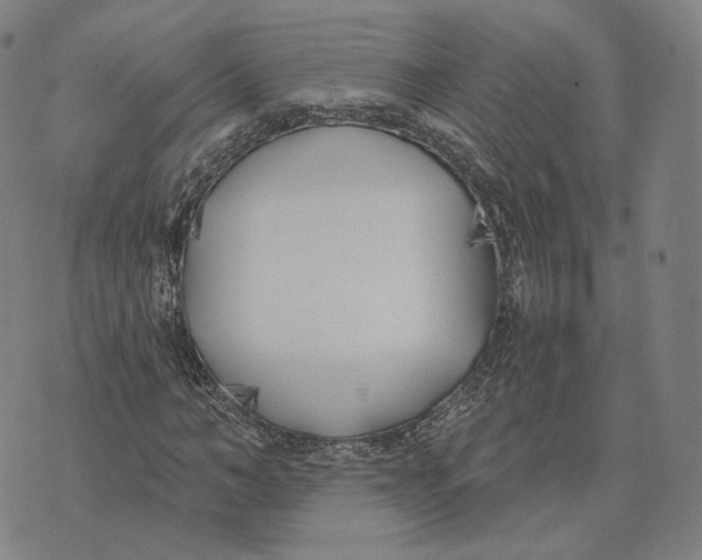 X0000074260966200609151757