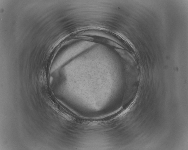 X0000074260969200609151757