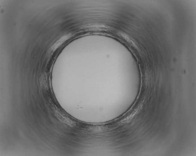 X0000074260970200609151757