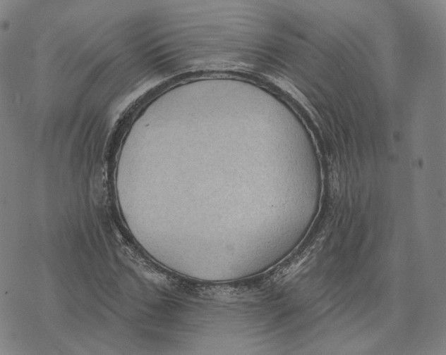 X0000074260971200609151757