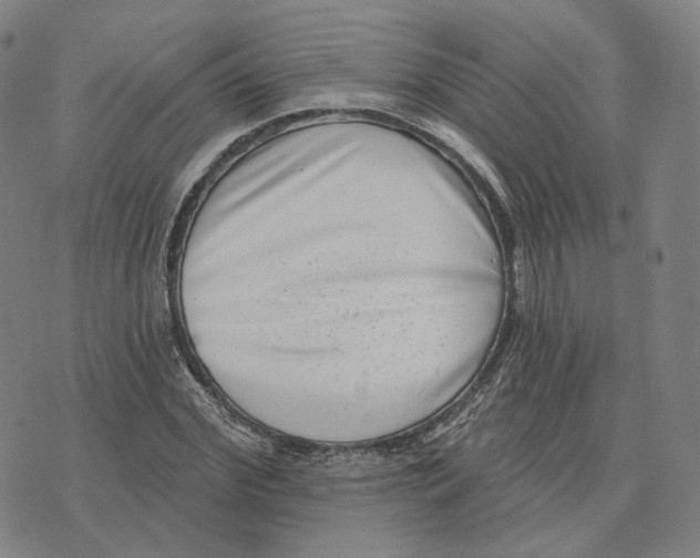 X0000074260972200609151757