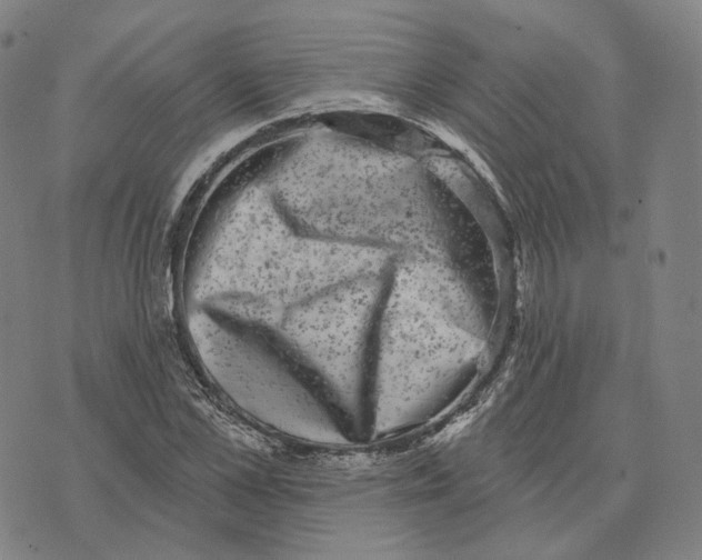 X0000074260973200609151757