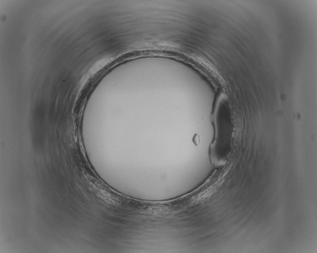 X0000074260974200609151757