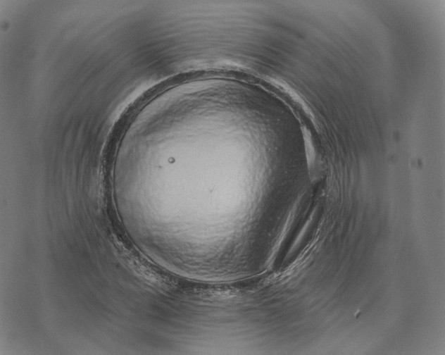 X0000074260975200609151757