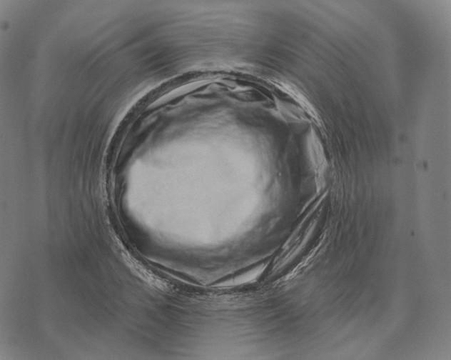 X0000074260976200609151757