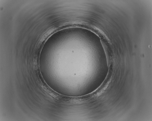 X0000074260977200609151757