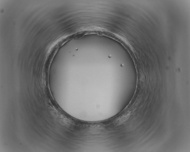 X0000074260979200609151757