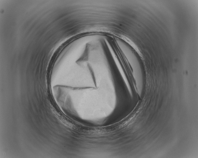 X0000074260980200609151757