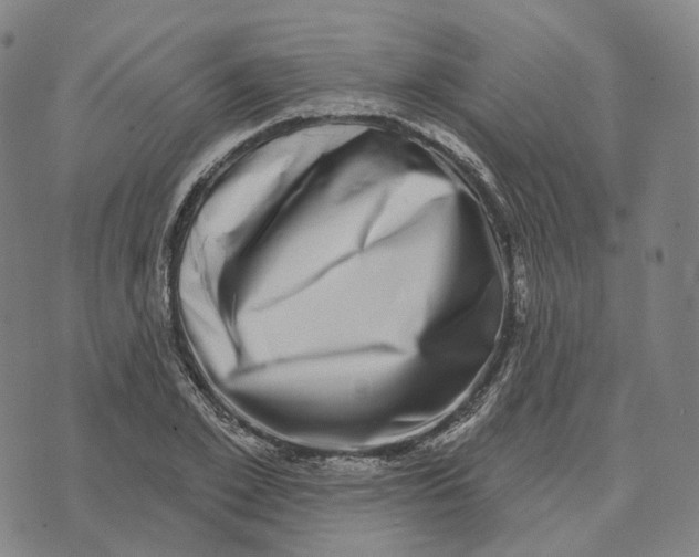 X0000074260981200609151757