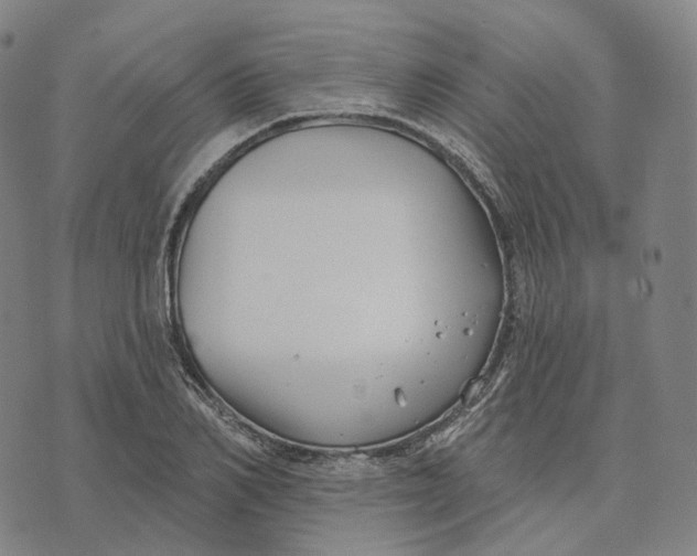 X0000074260982200609151757