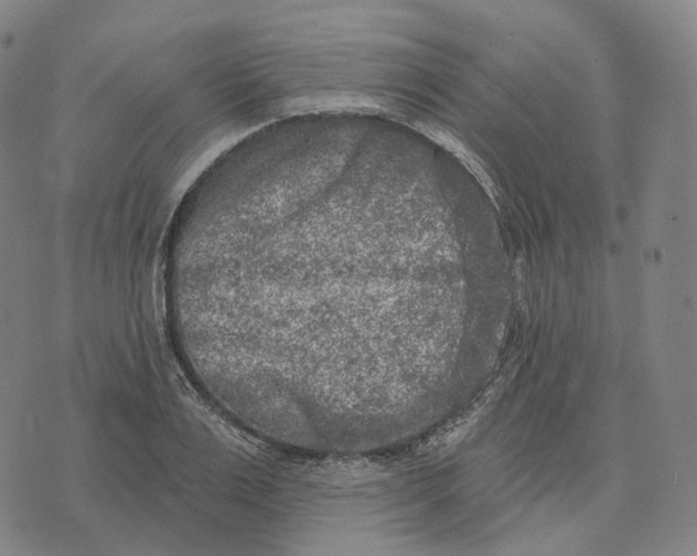 X0000074260983200609151757