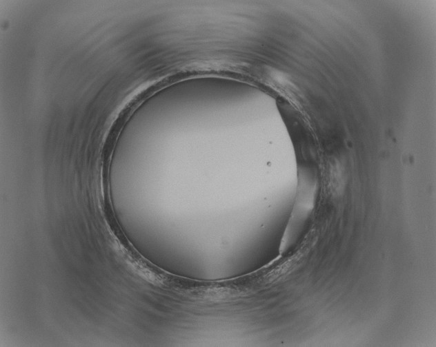 X0000074260984200609151757