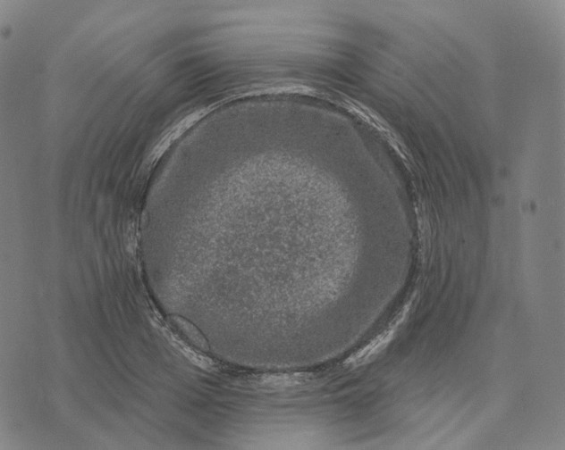 X0000074260985200609151757