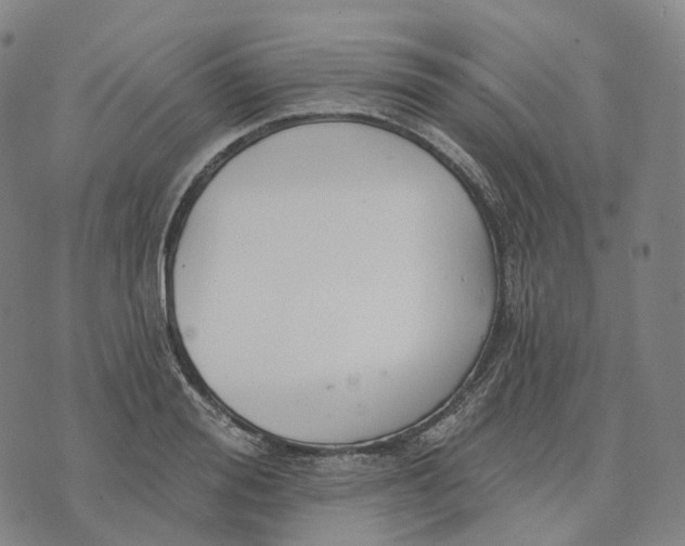 X0000074260988200609151757