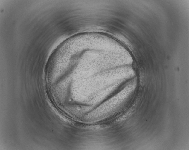 X0000074260990200609151757