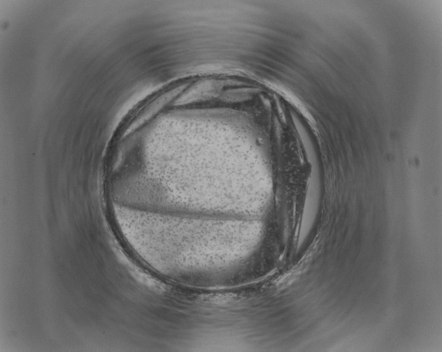 X0000074260991200609151757