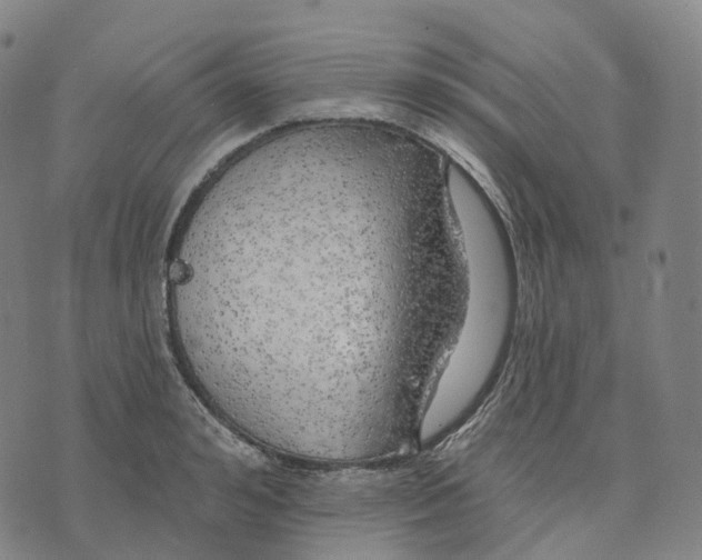 X0000074260992200609151757