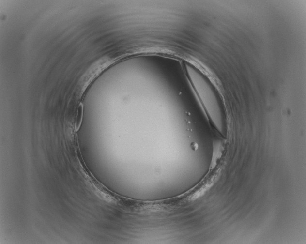 X0000074260993200609151757