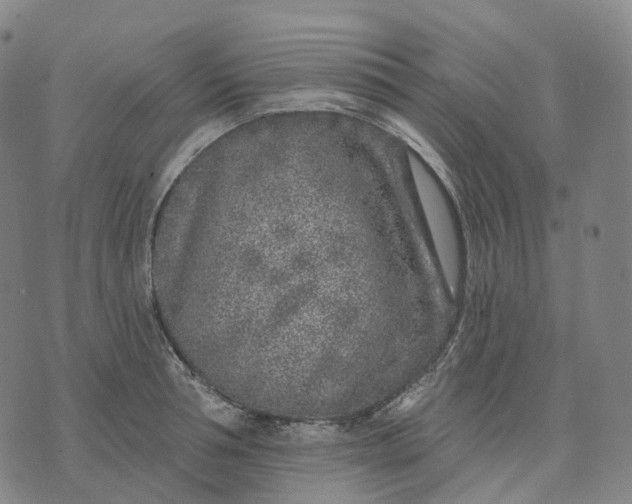 X0000074260994200609151757