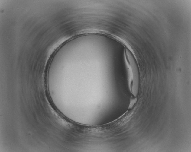 X0000074260995200609151757