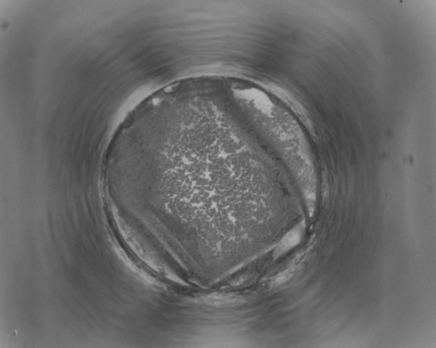 X0000074260998200609151757