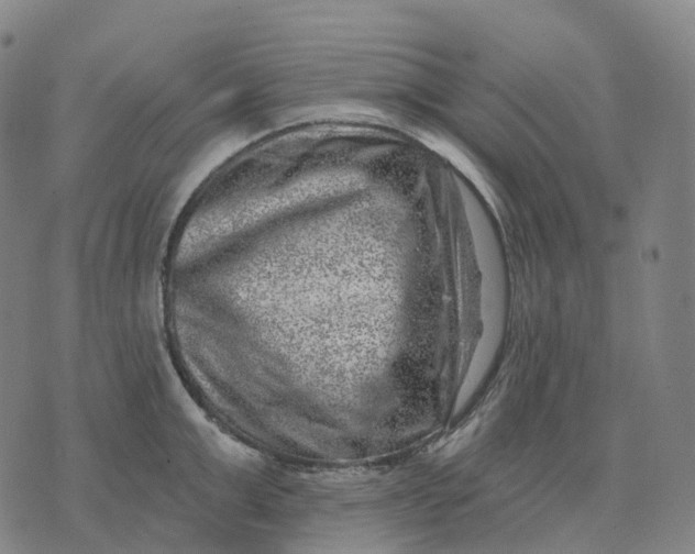 X0000074260999200609151757