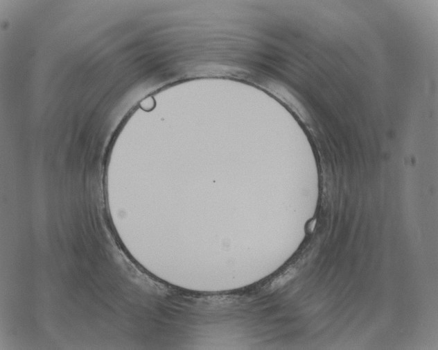 X0000074261000200609151757