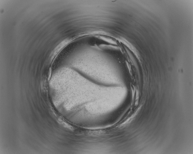 X0000074261001200609151757