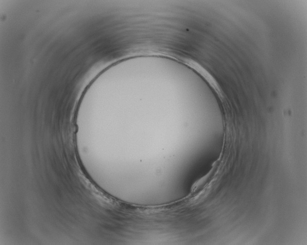 X0000074261004200609151756