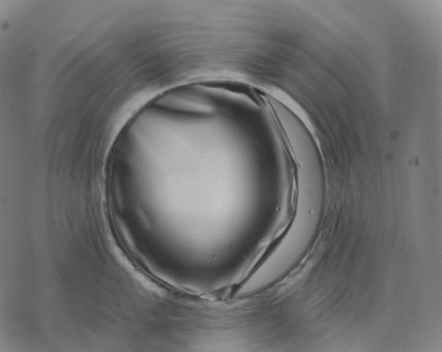 X0000074261005200609151756