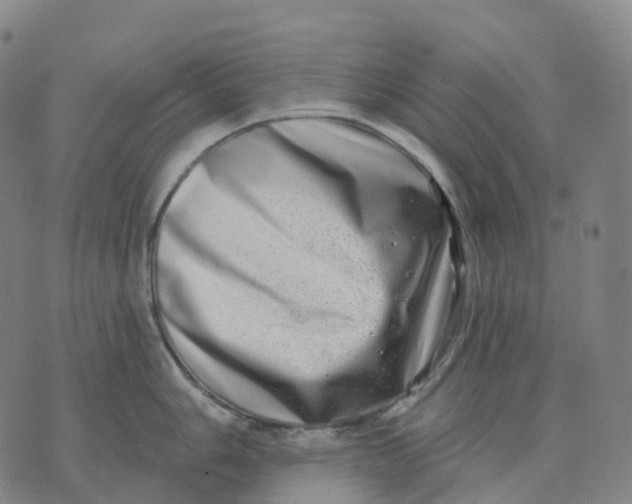 X0000074261006200609151756