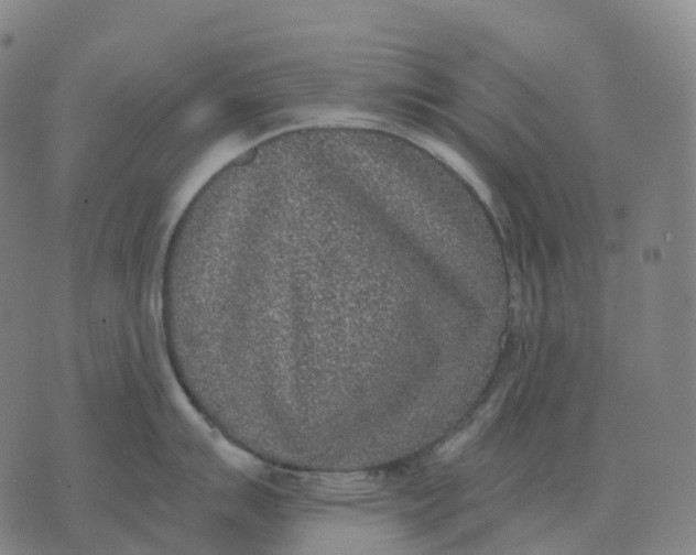 X0000074261007200609151756