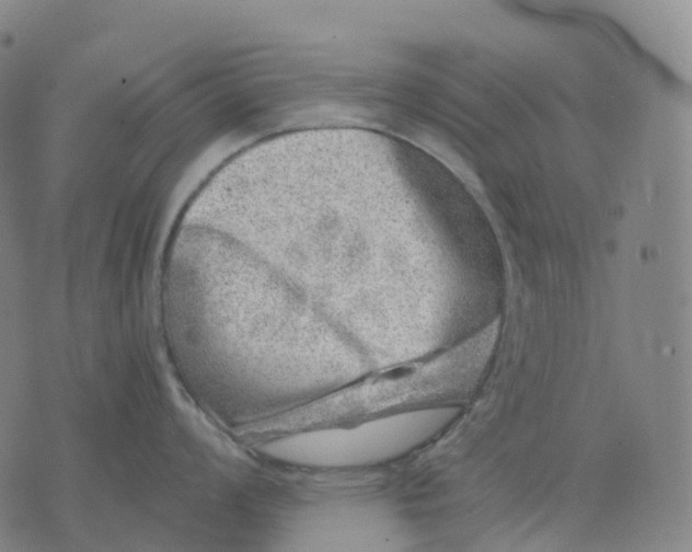 X0000074261008200609151756