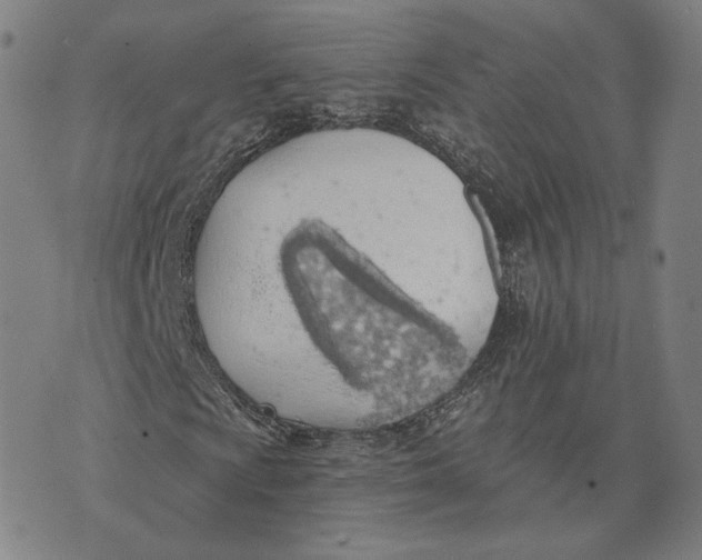 X0000074261009200609151756