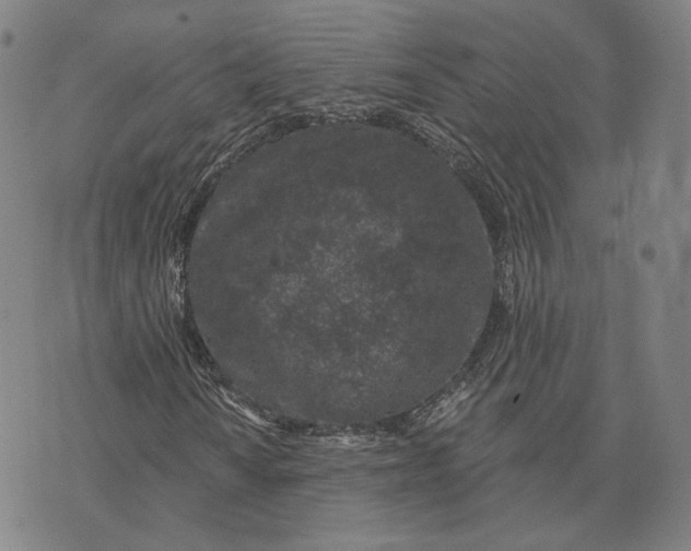 X0000074261010200609151756