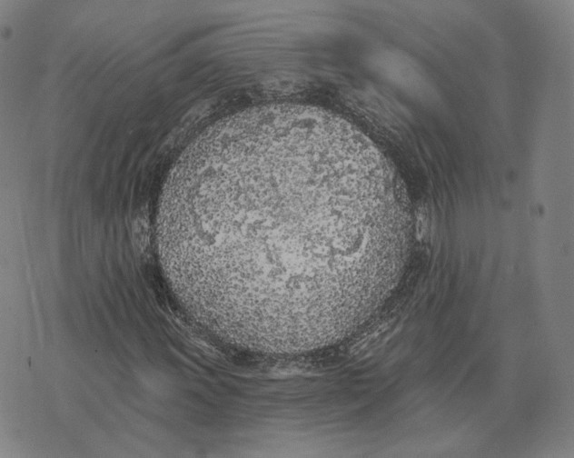 X0000074261011200609151756