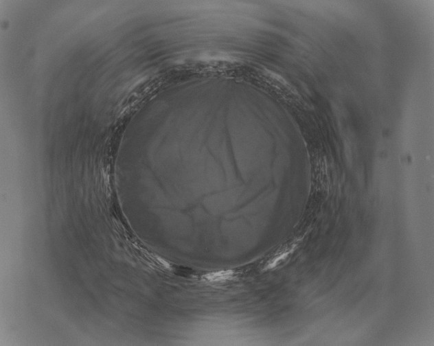 X0000074261013200609151756