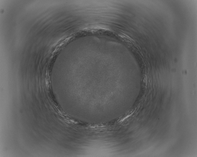 X0000074261014200609151756