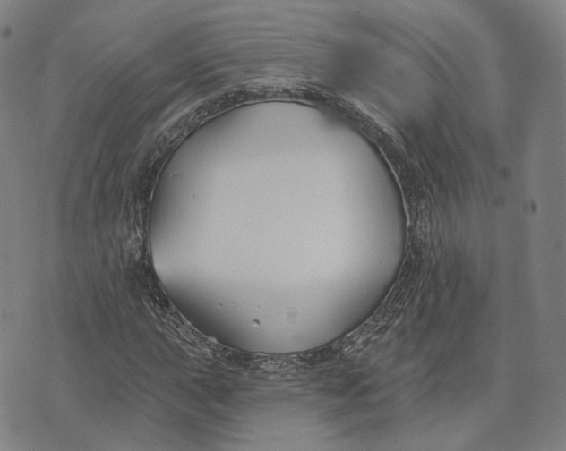 X0000074261015200609151756