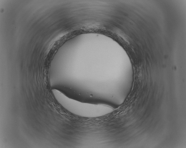 X0000074261016200609151756