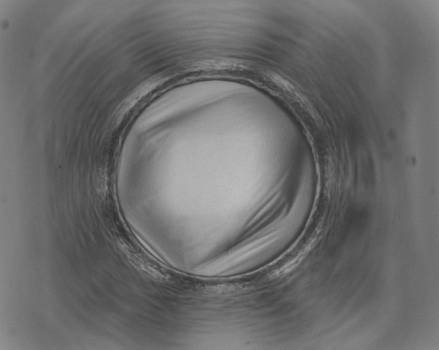 X0000074261017200609151756