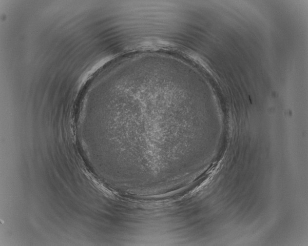 X0000074261018200609151756