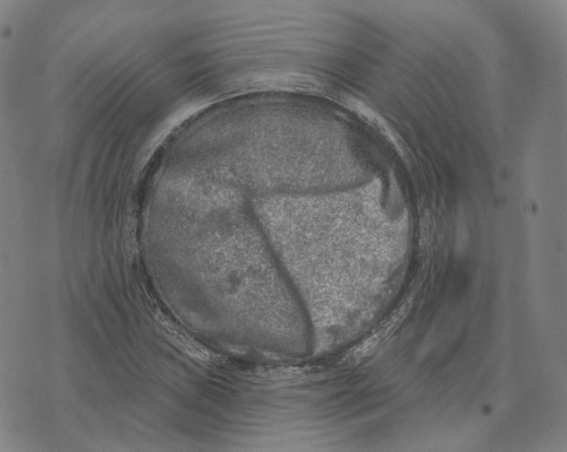 X0000074261019200609151756