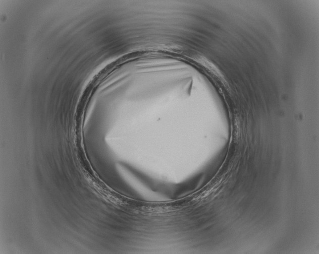 X0000074261020200609151756