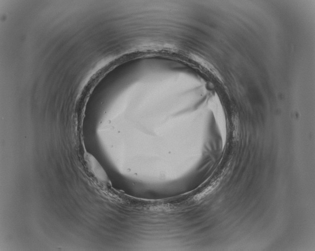 X0000074261021200609151756