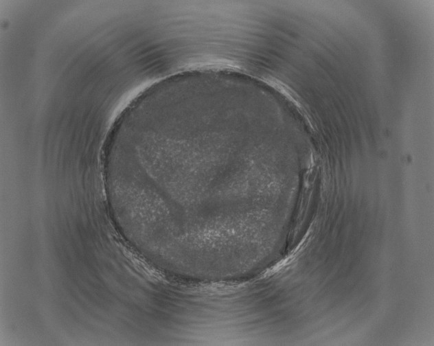 X0000074261022200609151756