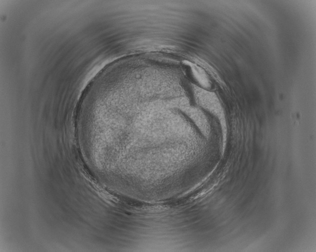 X0000074261023200609151756