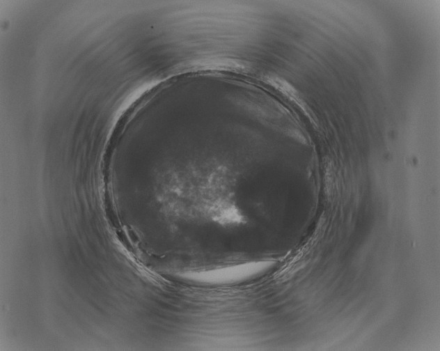 X0000074261024200609151756